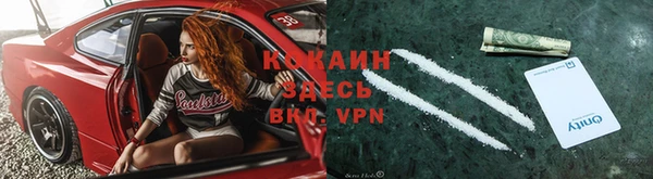 ALPHA PVP Карталы