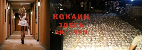 ALPHA PVP Карталы