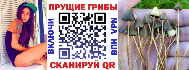 Псилоцибиновые грибы мухоморы Купить Кохма