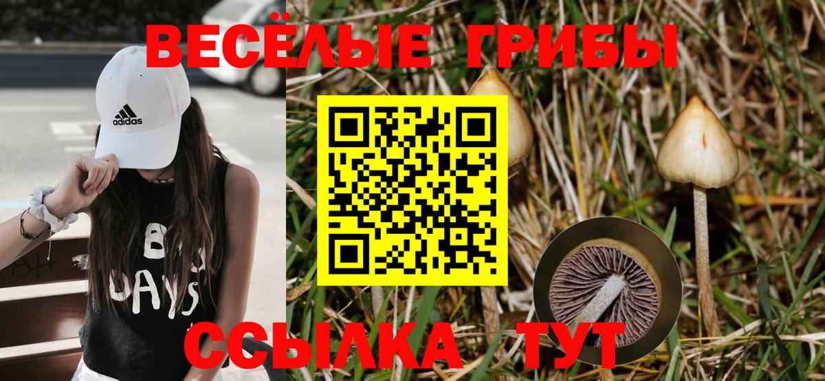 Псилоцибиновые грибы мухоморы  Галлюциногенные грибы MAGIC MUSHROOMS  Кохма 