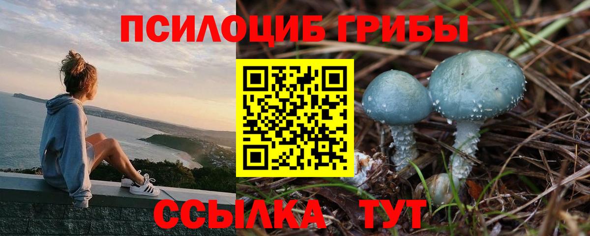 Галлюциногенные грибы MAGIC MUSHROOMS Кохма